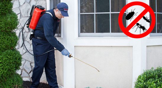 Mesudiye Dezenfeksiyon böcek ilaçlama ve haşere kontrolü — ilaclama-tr.com